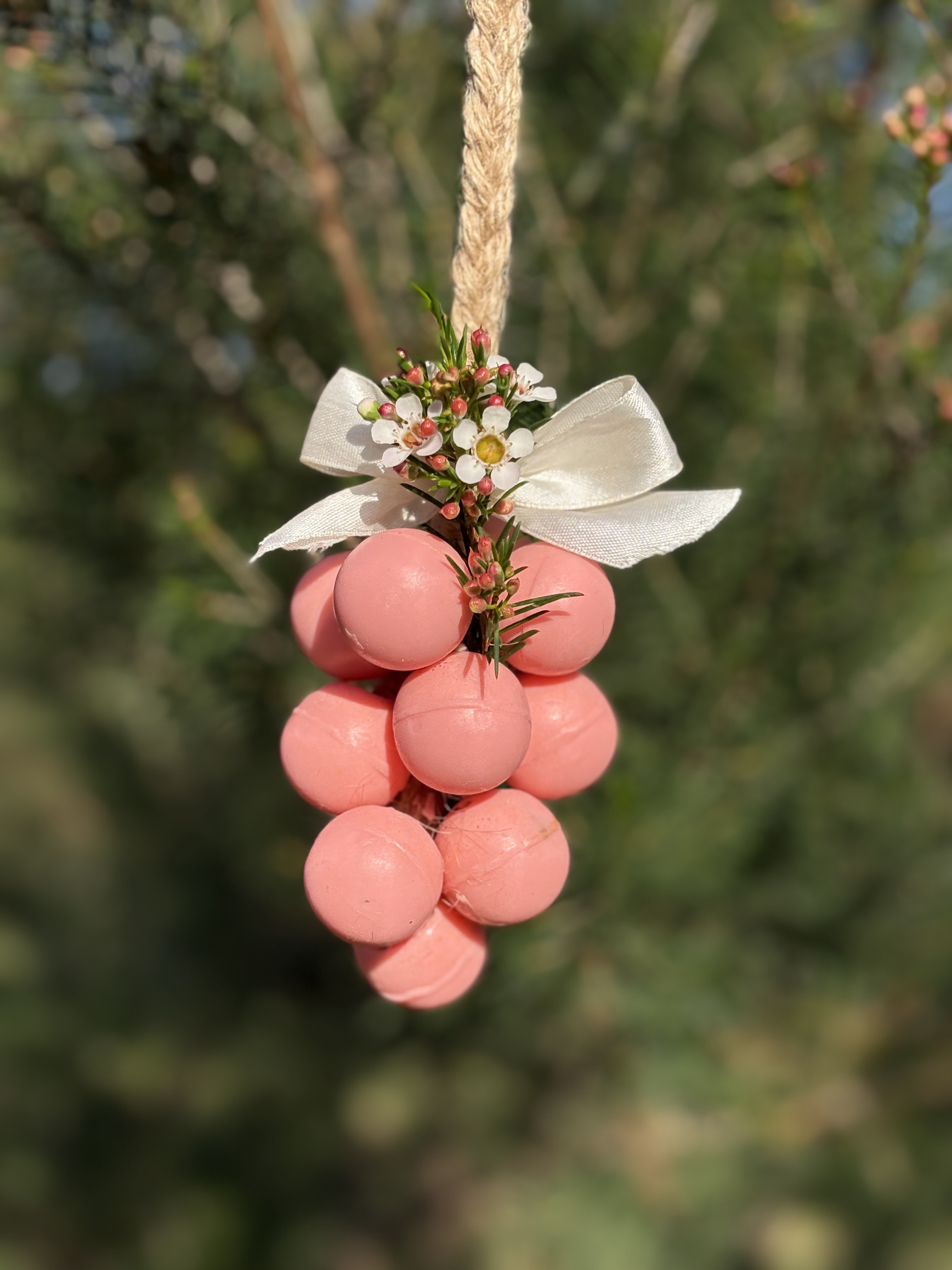 Cacho de Uva Rosa